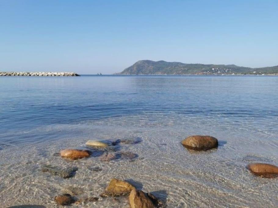 Charmant Studio Climatise 24 M2 Terrasse A 100M De La Plage Saint-Mandrier-sur-Mer Zewnętrze zdjęcie