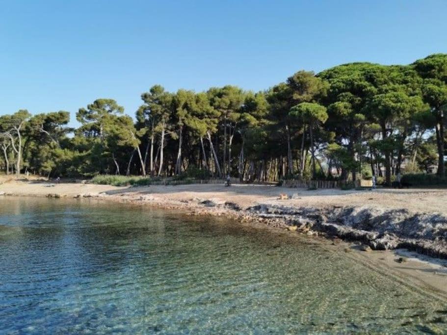 Charmant Studio Climatise 24 M2 Terrasse A 100M De La Plage Saint-Mandrier-sur-Mer Zewnętrze zdjęcie
